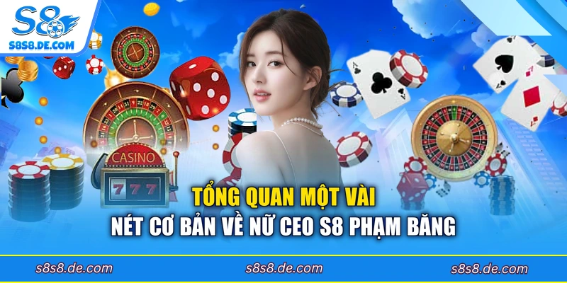 Tổng quan một vài nét cơ bản về nữ CEO S8 Phạm Băng